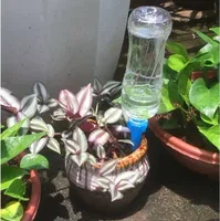 تصویر 3 از فروش کود مرغی مخصوص محصولات ارگانیک + قیمت خرید به صرفه